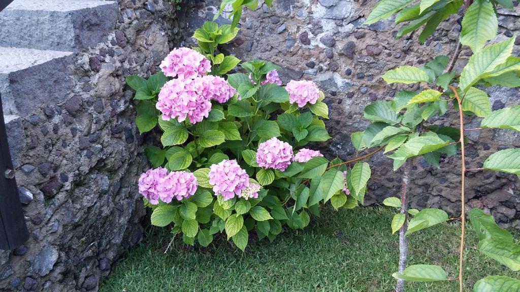 Bed and Breakfast Etma SantʼAlfio Exterior foto