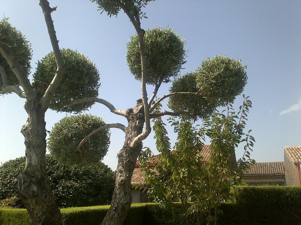 Bed and Breakfast Etma SantʼAlfio Exterior foto